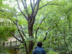 -南京市无想山景区