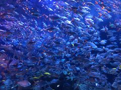 -成都浩海立方海洋公园