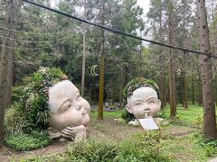 -东平国家森林公园