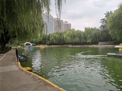 -团结湖公园