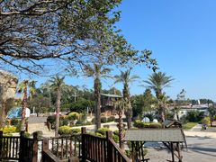 -天然居·漳港海鲜·海景餐厅(南澳总店)