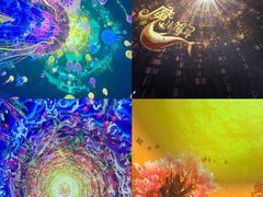 -海合安武汉极地海洋公园