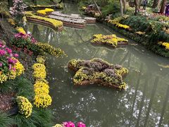 -汇龙潭