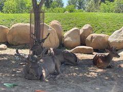 -北京野生动物园