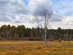 -塞罕坝国家级自然保护区