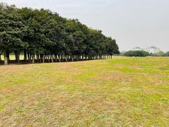 -苏州独墅湖体育馆