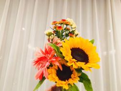 -美肤盾祛痘·问题肌头疗管理中心