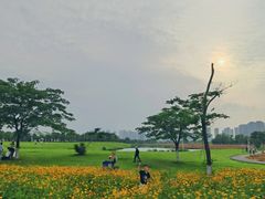 -洋湖国家湿地公园