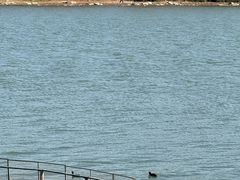 -长广溪湿地公园
