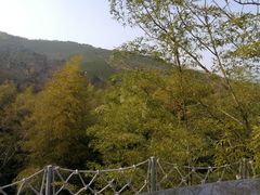 -天目湖御水温泉·度假酒店