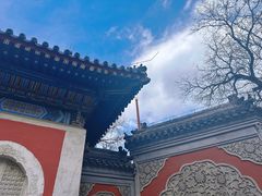 -北京艺术博物馆(万寿寺)