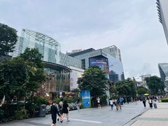 -爱雍·乌节