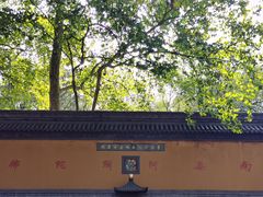 -灵谷景区
