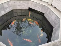 -西安市广仁寺