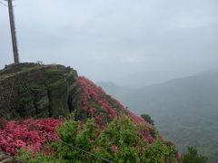 -木兰云雾山