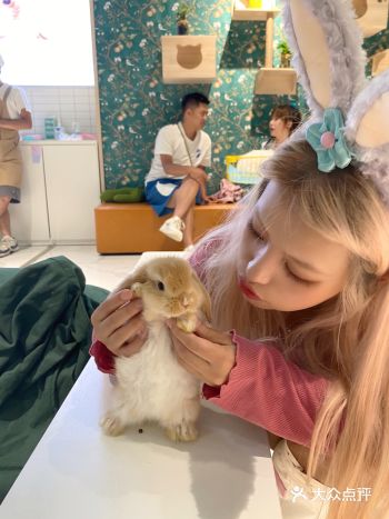 贵阳探店|遇见萌宠|和可爱的小动物拍照鸭