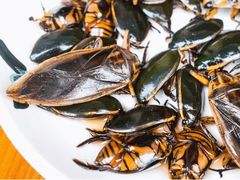 -莫华(锦绣趣园北街店)