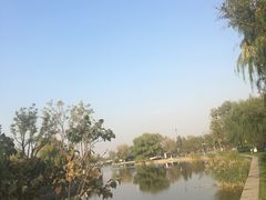 -西海子公园