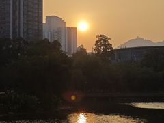 -四海公园(南山区)
