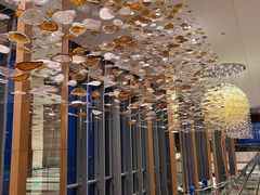 -视界美食自助餐厅·石家庄希尔顿酒店