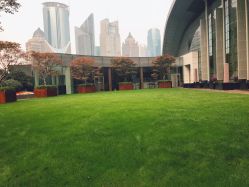 点击看大图 -上海中心宴会厅·婚礼中心
