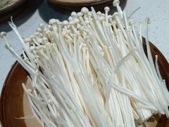 -青年火锅(吾悦广场直营店)