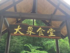 -野象谷景区
