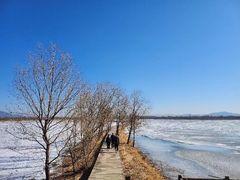 -野鸭湖国家湿地公园