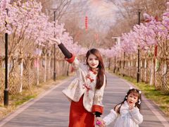 -武汉紫薇都市田园