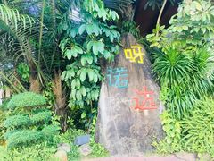 -呀诺达热带雨林