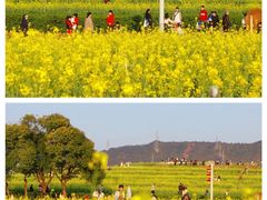 -光明小镇欢乐田园