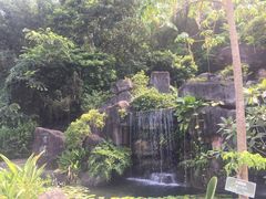 -广州神农草堂中医药博物馆