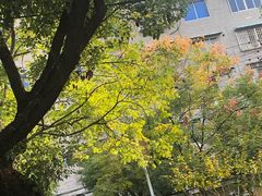 -遂昌金矿国家矿山公园