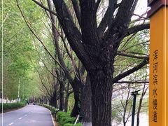 -长白岛森林公园