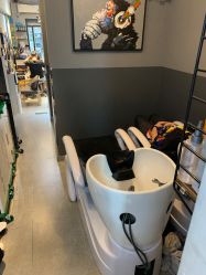 -G.O.T salon