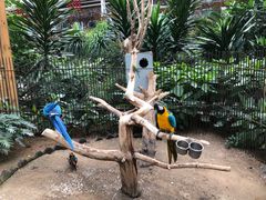 -南宫温泉水世界