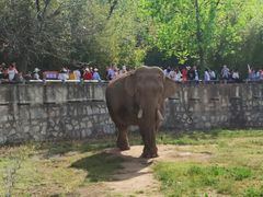 -西安秦岭野生动物园
