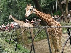 -杭州野生动物世界