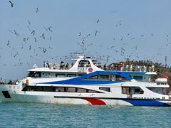 -海驴岛(荣成市)