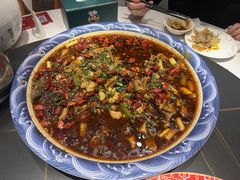 -新概念来凤鱼(璧山店)
