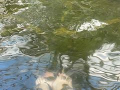 -龙达温泉生态城