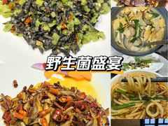 -蔼若春.传承三十年云南菜(金碧公园店)