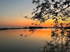 -贡湖湾湿地公园