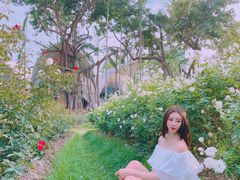 -人民公园(罗湖区)