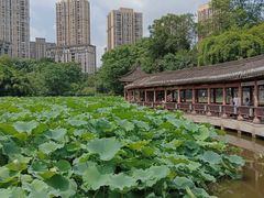 -龙头寺公园