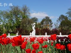 景点-丰台花园