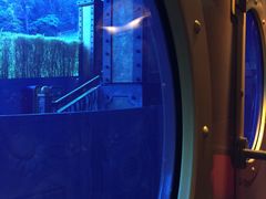 -海洋公园海洋列车－海滨站