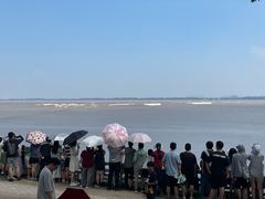 -观潮胜地公园