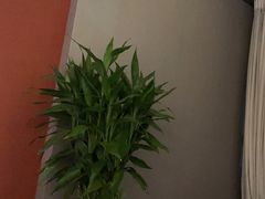 -金狮麟·新豫菜(杏石口路店)