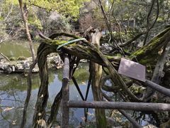 -绮园景区